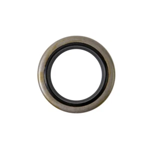 JOINT SPI MOTEUR TYPE BRIGGS & STRATTON 299819 89660 TRACTEUR TONDEUSE 2 à 5CV - Foto 1 di 1