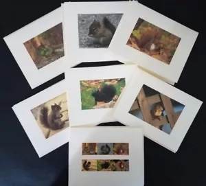 Squirrels of the World Custom Notecards ~ 6-Pack (Blank) by Gifted Pet Creations - Picture 1 of 8