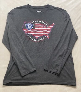 Las Vegas Raiders Shirt Mens Large Gray Long Sleeve NFL Pullover - Picture 1 of 7