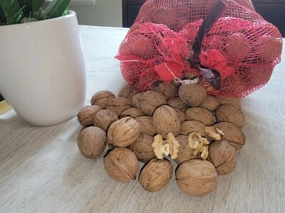 In-Shell Walnuts Organic~California Grown~Raw WHOLE Lots LBs FRESH 2025 CROP - Image 1 of 4