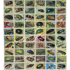 Shell 1964 Trading Cards AUSTRALIAN BEETLES Complete Set Of 60 Vintage Cards