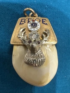 Antiker BPOE Elchzahn Anhänger 14k Gold Diamant Rubin Augen Bruder Charm 6,48g - Bild 1 von 7