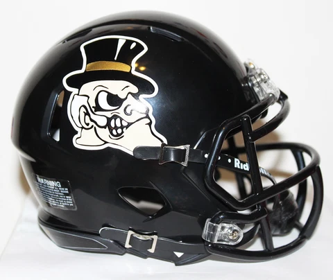 2017 Wake Forest Demon Deacons Alternate Custom Riddell Mini Helmet vs FSU Cover
