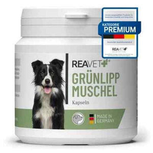 REAVET Grünlippmuschel Kapseln 100 Stk. Hunde grünlippmuschel Gelenke Bewegung - Bild 1 von 3