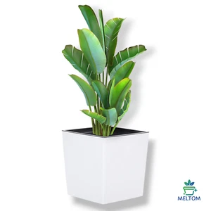 Blumenkübel Hochglanz Eckig Einsatz Übertopf Blumentopf Weiß 4 Größen SET - Bild 1 von 21
