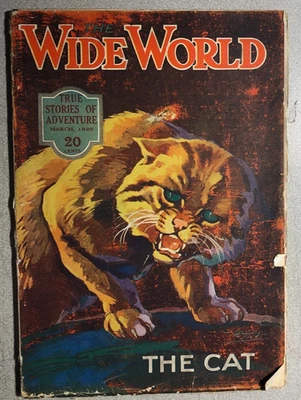 WIDE WORLD vintage pulp magazine March 1925 The Cat story & cover - Image 1 of 4
