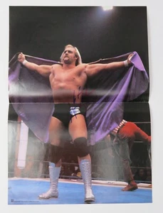 Hulk Hogan WWE Signed Autograph Auto 14x22 1983 Japan Wrestling Poster BAS JSA - Picture 1 of 4