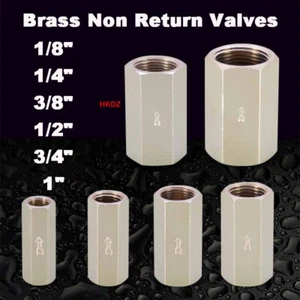 Brass Check Valve Non Return Valves One Way Hex Pneumatic Fitting Female Thread - Picture 1 of 14