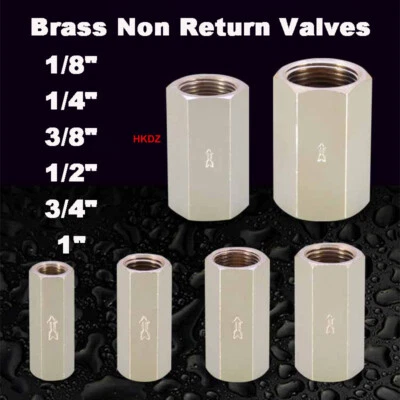 Brass Check Valve Non Return Valves One Way Hex Pneumatic Fitting Female Thread - Image 1 of 4