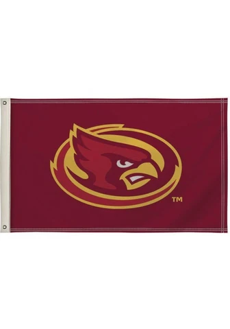 Showdown Displays 810002IAS-004 2 x 3 ft. Iowa State Cyclones NCAA Flag - No.004 Cover