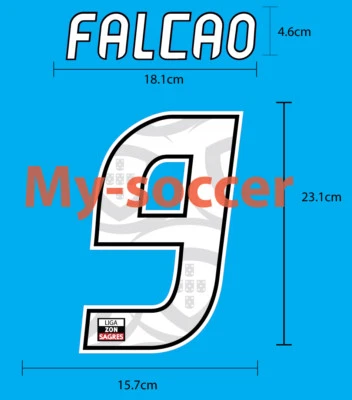 FALCAO #9 FC PORTO Home 2010-11 NAME NUMBER PRINT EXCELLENT QUALITY - Image 1 of 4