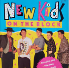 New Kids on the Block NKOTB Revealing Bios Stats Facts Photos Quiz Book Vintage
