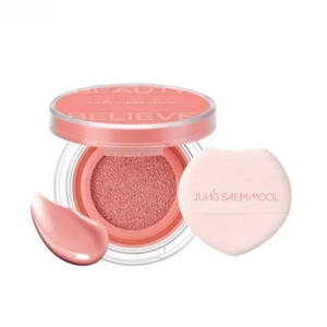 JUNGSAEMMOOL Artist Cushion Blush 4g 10colors K-Beauty - Picture 1 of 21