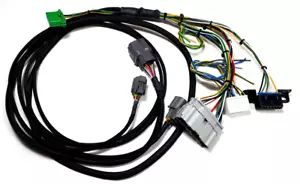 Telaio di scambio BWE K HONDA CIVIC EK 99-00 OBD2-B cablaggio k20 tipo R ep3 EK3 EJ9 EK4 - Foto 1 di 3