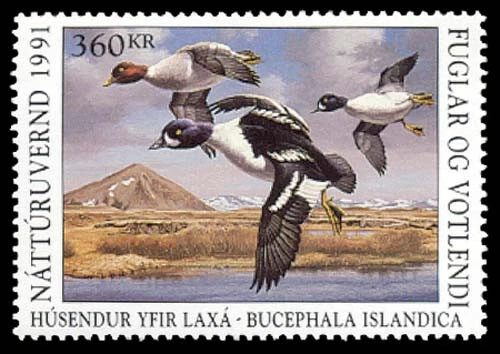 1991 Iceland First of Nation waterfowl stamp — LD1 - Image 1 of 1