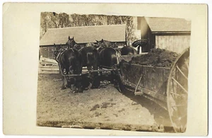 4 Pferdegespann zieht Güllewagen RPPC Postkarte Bauernhof Scheunen - Bild 1 von 2