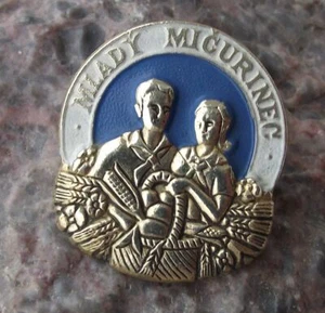 Antique Young Michurin Biologist Botanist Soviet Union Youth Award Pin Badge - Picture 1 of 4