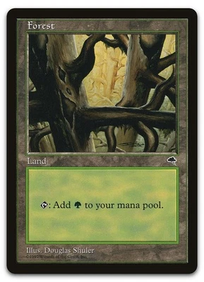 Forest (Ledge) #350 (LP) Tempest TMP Magic MTG - Image 1 of 2