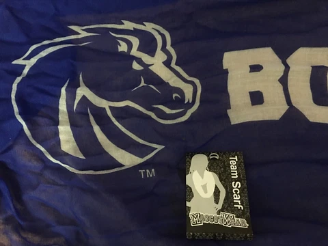 FIVE {5} BOISE STATE BRONCOS TEAM SCARFS OFFICIALLY LICENSED NCAA MASCOT WEAR Cover