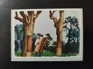 FIGURINA VITA E COLORE ED. MODERNA 1969 n 254 OTTIMA MAI ATTACCATA - Imagen 1 de 2