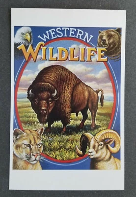 US 1994 Scott # UX193 WESTERN WILDLIFE Legends of the West 19¢ post postal card - Image 1 of 2