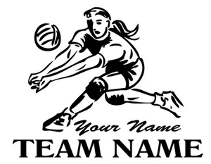 Customized VOLLEYBALL Decal Sticker - YOUR name plus SCHOOL/TEAM name! - Picture 1 of 3