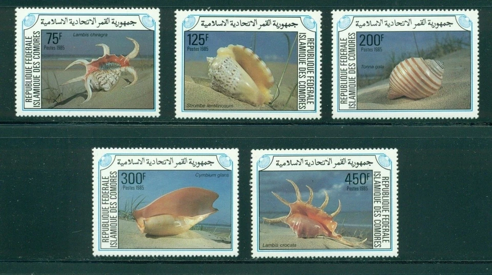 Comoro Islands Scott #609-613 MNH Sea Shells FAUNA CV$14+ - image 1 of 1