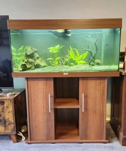 Jewel Rio 180 Aquarium Fish Tank - Picture 1 of 5