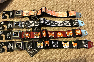 New! Dog Pet Collars From Buckle Down, Pembroke Welsh Corgi!! All Colors! 