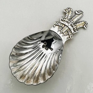 PRINCE CHARLES WEDDING COMMEMORATIVE CADDY SPOON STERLING SILVER 1981 - Picture 1 of 5
