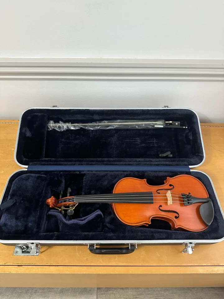 伊士曼VL100 1/2小提琴 — 第 1/1 张图片