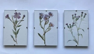 Set aus drei 6 "x 4" echten antiken Blumendrucken, von Edward Hulme um 1891 - Bild 1 von 6