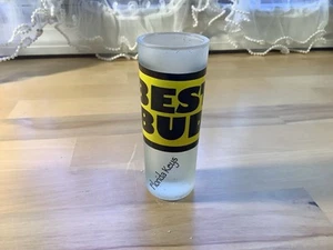 Souvenir Shot Glass Florida Keys Frosted - BEST BUD 4” - Picture 1 of 6