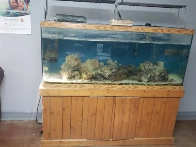 Tanque acuario agua salada Foto 1 de 2