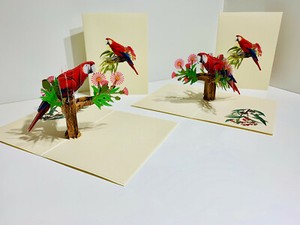 Origami Pop Cards Rosella Parrot Bird 3D Pop Up Greeting Card Birthday Thank You