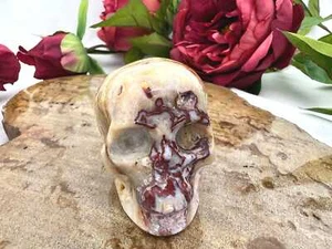 Crazy lace agate skull - 2" crazy lace agate crystal skull - natural mexican - Picture 1 of 7