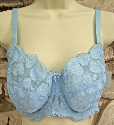 Panache Super Bra 3181 Ophelia Women's 36E Sheer Blue Embroidered Lace Underwire - Image 1 of 4