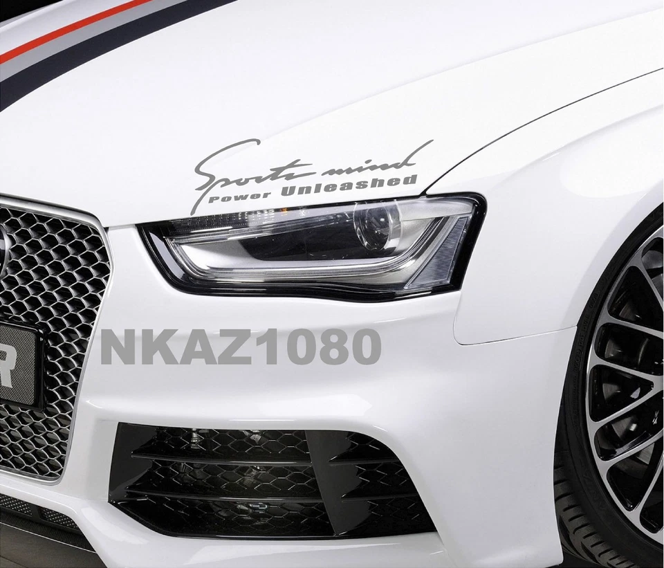 SPORTS MIND POWER UNLEASHED гонки этикетка Sport автомобиля стикер эмблема логотип серебро - Изображение 1 из 1