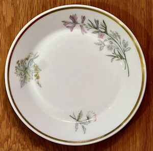 RICHARD GINORI Primavera Teetasse Untertasse 5 1/2" Durchmesser Fine Bone China aus Italien - Bild 1 von 8