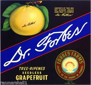 Thermo Dr. Forbes Coachella Valley Grapefruit Zitrus Obstkiste Etikettendruck - Bild 1 von 1