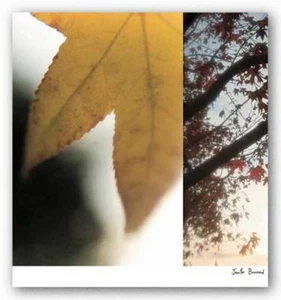 Autumn Leaves II Jennifer Broussard Art Print 18x18 - Picture 1 of 1