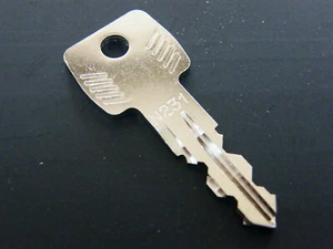 Thule Key N231 N 231 Replacement Key for Rear Rack Roof Boxes Roof Rack - Picture 1 of 1