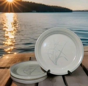 4 platos de cena Corelle de Corning "Spring Pond" EE. UU. 10,25" D - Imagen 1 de 6