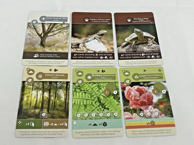 Earth Board Game Promo Card Sets - 6 Cards - Inside Up Games Promos Gen Con 2025 - Image 1 of 4