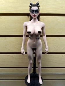 Hot Toys - Catwoman Anne Hathaway Custom UD Seamless Hyper Realistic - 1/6 Scale - Picture 1 of 11