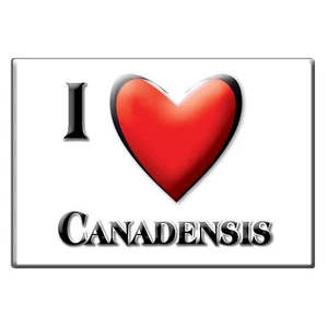 Canadensis, Monroe County, Pennsylvania - Fridge Magnet I Love Usa - Picture 1 of 10