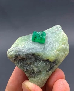 Cristal esmeralda verde vivo terminado con pirita combinada - Imagen 1 de 10