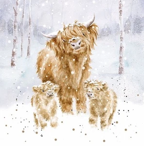 Wrendale Highland Cow and Calves Christmas Cards - Set of 8 12cm Festive Cards - Picture 1 of 2