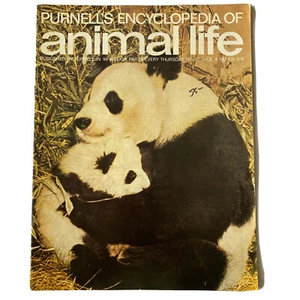 Purnell’s Encyclopedia Of Animal Life Magazine Volume 4 Number 13 - Picture 1 of 6