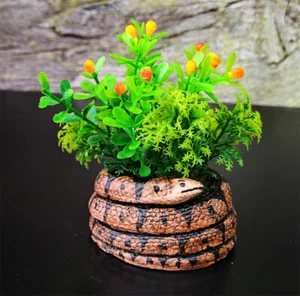  Stylish Pot Original Decorative Snake Flowers Planter Plants Cactus Succulent - Picture 1 of 4